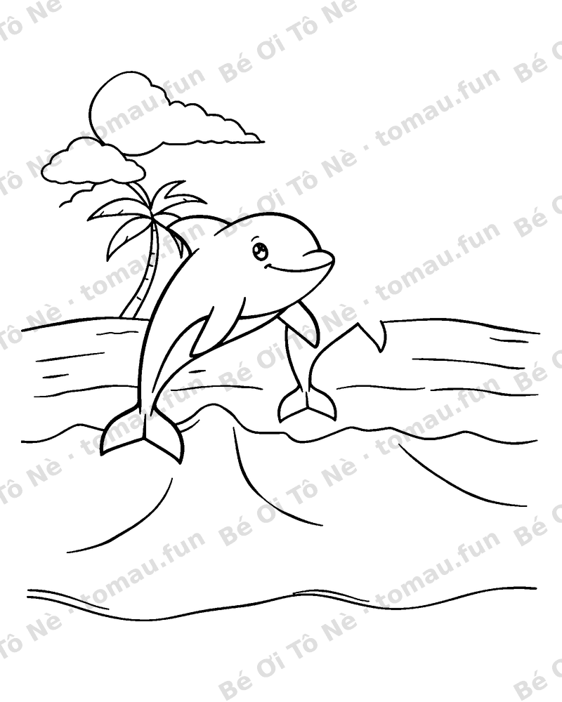 Hai con cá heo nhảy trên mặt nước