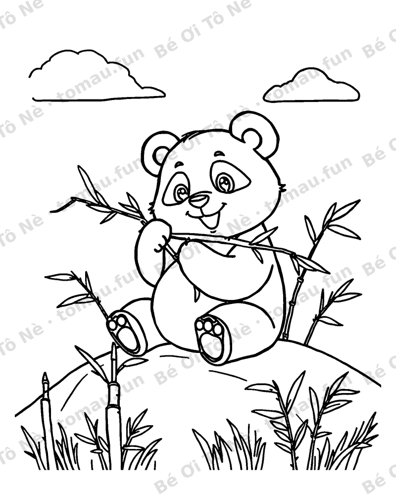 Gấu trúc ăn tre trên núi